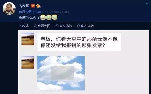 第21张图片