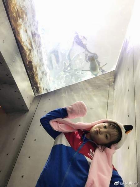 第2张图片