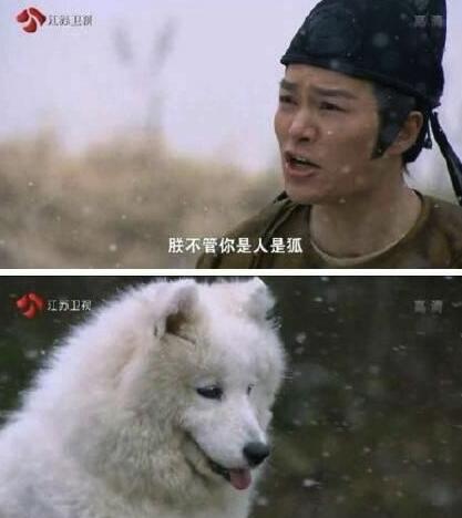 第6张图片