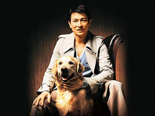 第2张图片