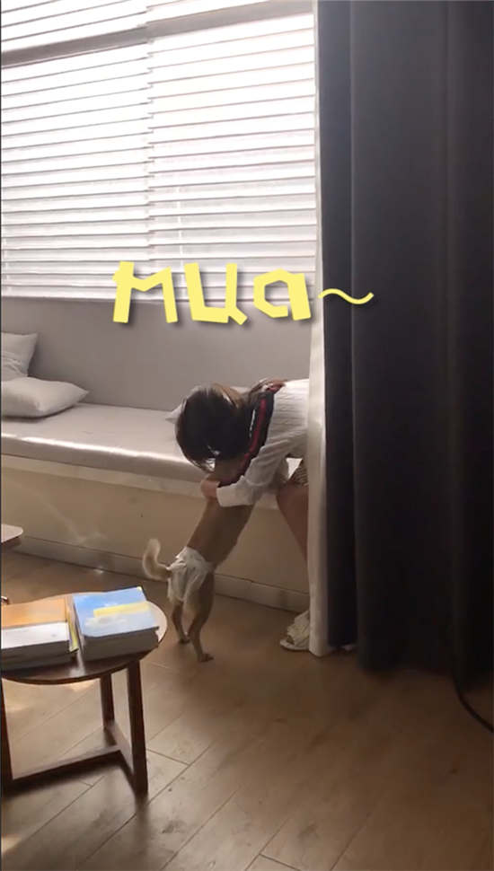 第5张图片