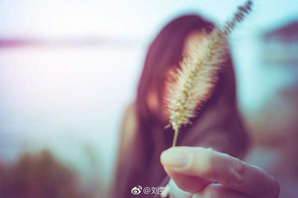 第3张图片