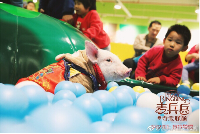 第3张图片