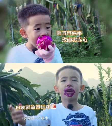 第4张图片