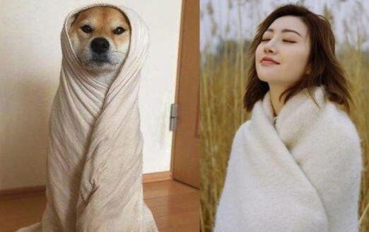 第6张图片