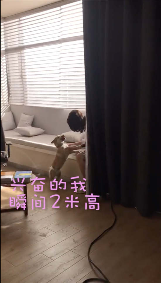 第2张图片