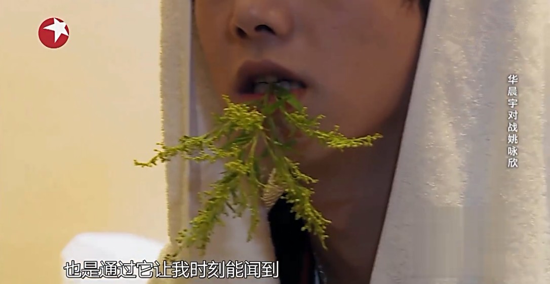 第5张图片