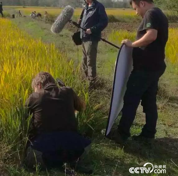 第7张图片