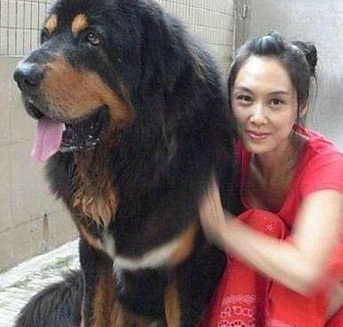 第3张图片