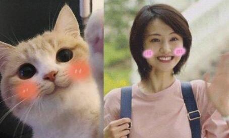 第4张图片